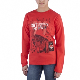 Ed Hardy Kids Girls Long Sleeve T-Shirt - Red - The Ed Hardy Kids Girls T-Shirt is a Great T-shirt in what your kids will look ravishing. This shirt features original ED Hardy graphics,and long sleeves.