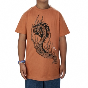 Ed Hardy Toddlers Dragon T-Shirt - Tan - The Ed Hardy Toddlers Dragon T-Shirt is a quality T-shirt in what your kids will look ravishing.This shirt features original ED Hardy graphics, andshort sleeves